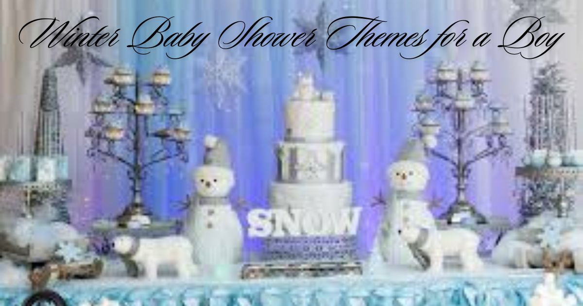 Winter Baby Shower Themes for a Boy 